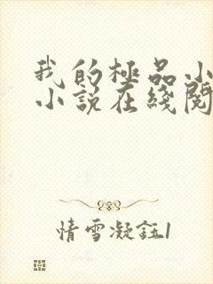我的极品小姨 小说在线阅读