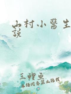 山村小医生 小说