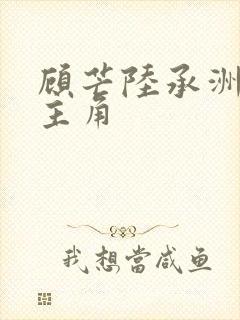 顾芒陆承洲全文主角