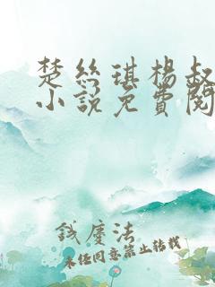 楚丝琪杨叔主角小说免费阅读全文美人似香
