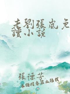 老刘张岚免费阅读小说