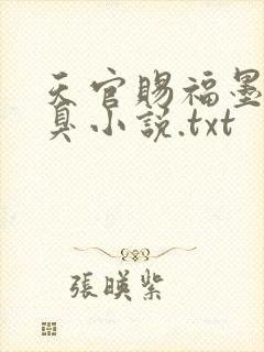 天官赐福墨香铜臭小说.txt