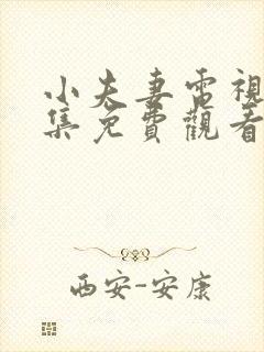 小夫妻电视剧全集免费观看高清