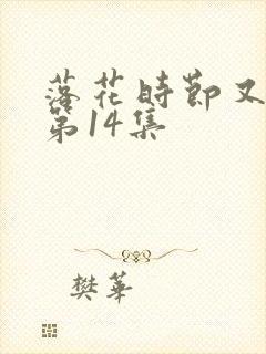 落花时节又逢君第14集