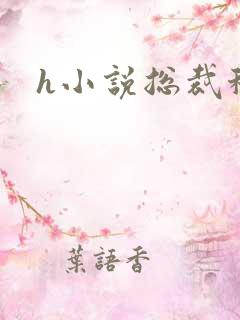 h小说总裁秘书