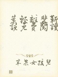 叶轻离裴靳墨小说免费阅读无弹窗