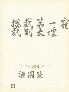 总裁第一宠婚总裁别太坏