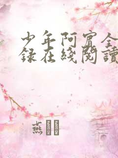 少年阿宾全文目录在线阅读