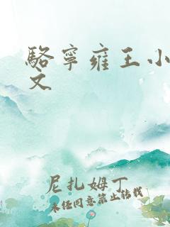 骆宁雍王小说全文