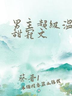男主超级温柔的甜宠文