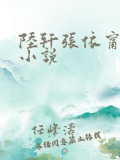 陆轩张依甯全文小说