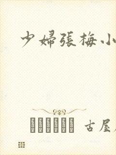 少妇张梅小说