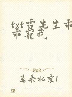 txt霍先生乖乖宠我
