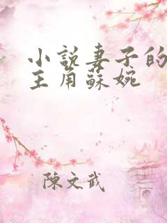 小说妻子的秘密主角苏婉