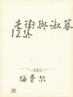 老卫与淑蓉1一12集