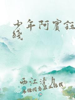 少年阿宾钰慧在线