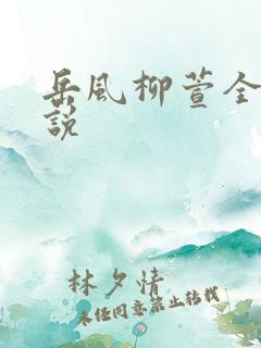岳风柳萱全部小说