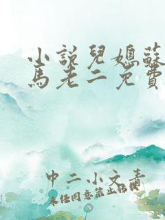 小说儿媳苏玥玥马老二免费阅读