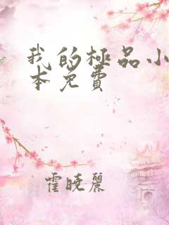 我的极品小姨全本免费