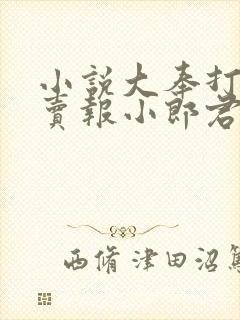 小说大奉打更人卖报小郎君电子书