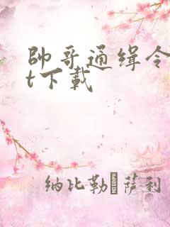 帅哥通缉令txt下载