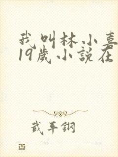 我叫林小喜今年19岁小说在线阅读全文