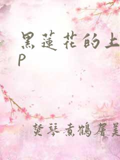 黑莲花的上位np