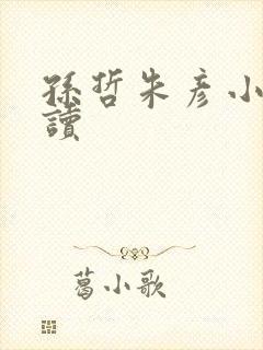 孙哲朱彦小说阅读