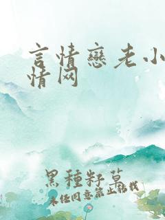 言情恋老小说言情网