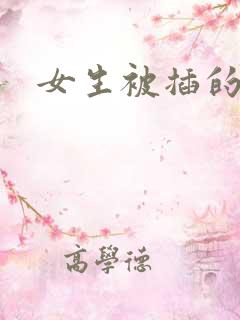 女生被插的小说