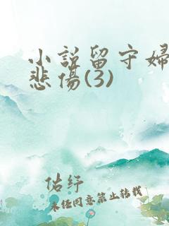 小说留守妇女的悲伤(3)