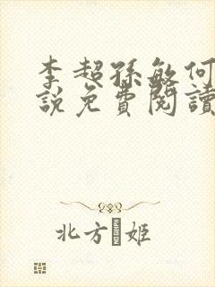 李超孙敏何玉小说免费阅读