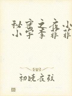 秘密之夜小说李小宇李菲菲免费阅读