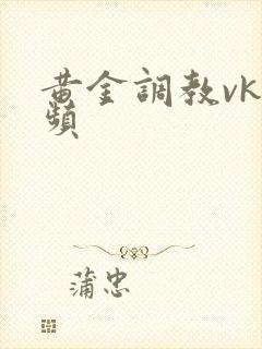 黄金调教vk视频