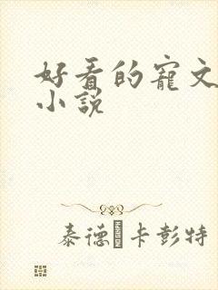 好看的宠文甜文小说