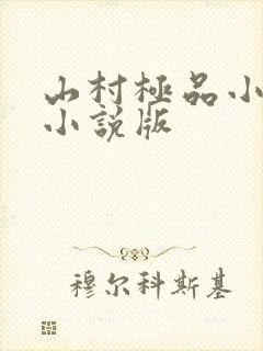山村极品小神医小说版