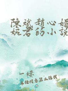 陈斌赵心媚和高婉君的小说