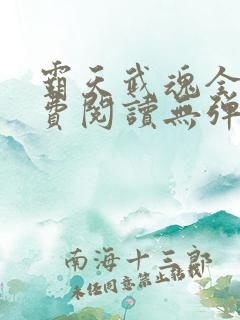 霸天武魂全本免费阅读无弹窗