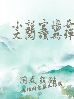 小说官场奇才全文阅读无弹窗