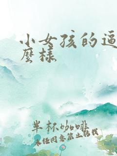 小女孩的逼长什么样
