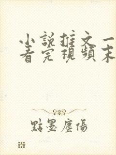 小说推文一口气看完视频末世