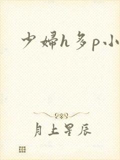 少妇h多p小说