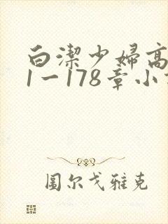 白洁少妇高义第1一178章小说