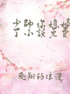 少帅你媳妇又跑了小说免费阅读
