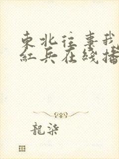 东北往事我叫赵红兵在线播放