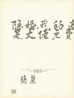 隐婚,我的老公是大佬免费阅读
