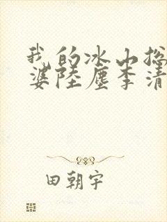 我的冰山总裁老婆陆尘李清瑶