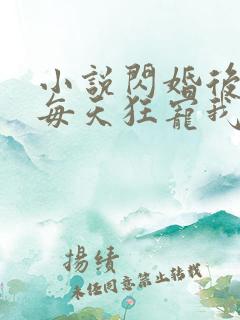 小说闪婚后大叔每天狂宠我免费阅读