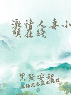 激情人妻小说视频在线