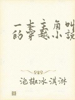 一本主角叫沈清的穿越小说